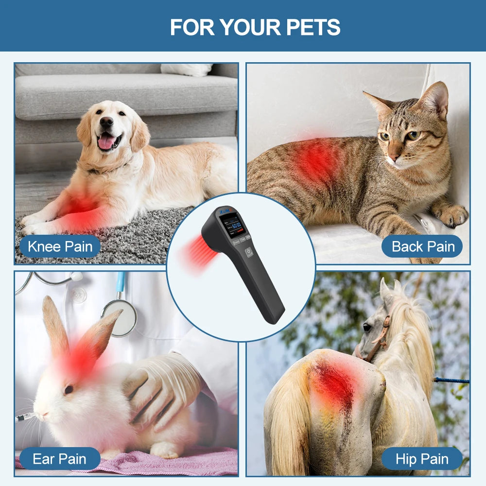 Professional MLS Laser Therapy Device 650nm 808nm for Sport Injuries Arthritis Heel Spurs Pain Relief for Pet Cat Dog Horse